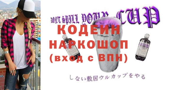 шишки Нязепетровск