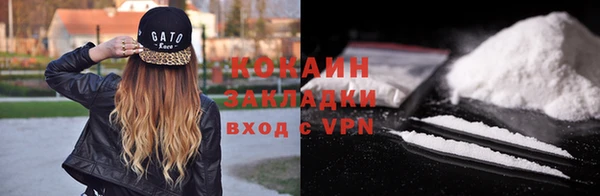 шишки Нязепетровск