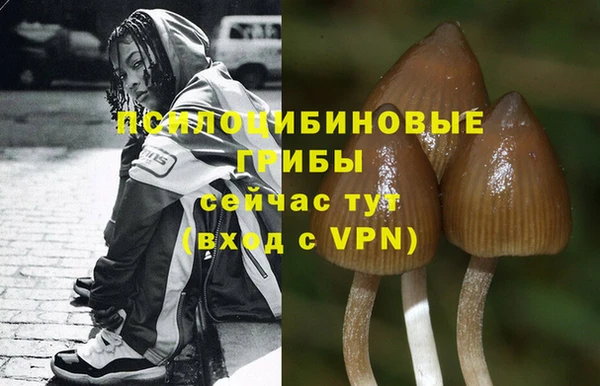шишки Нязепетровск