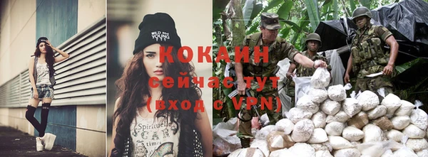 шишки Нязепетровск