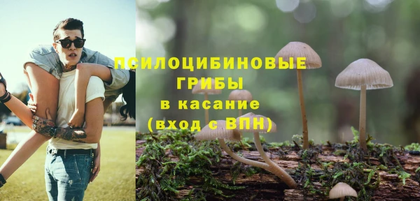 шишки Нязепетровск
