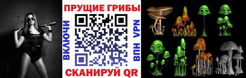 Псилоцибиновые грибы Psilocybine cubensis Красково