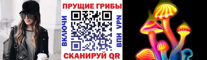 цена   МЕГА ТОР  Псилоцибиновые грибы GOLDEN TEACHER  Красково 
